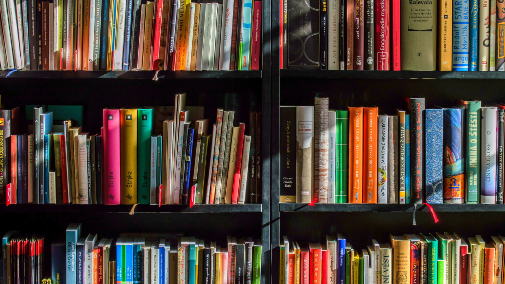 médias detox télévision